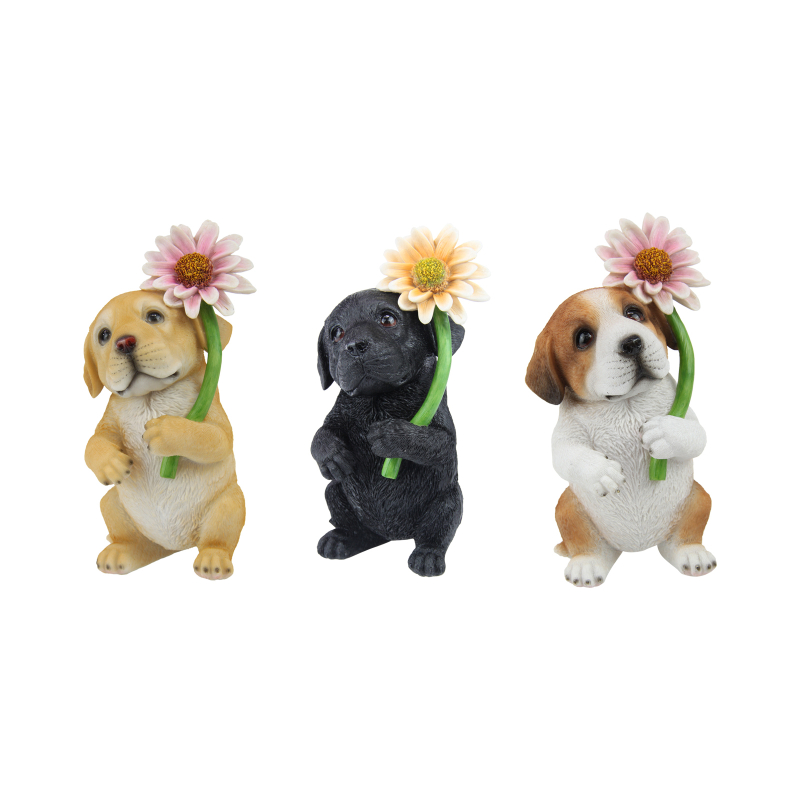 DOGDAIFL