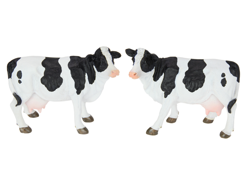 COWSTBWN