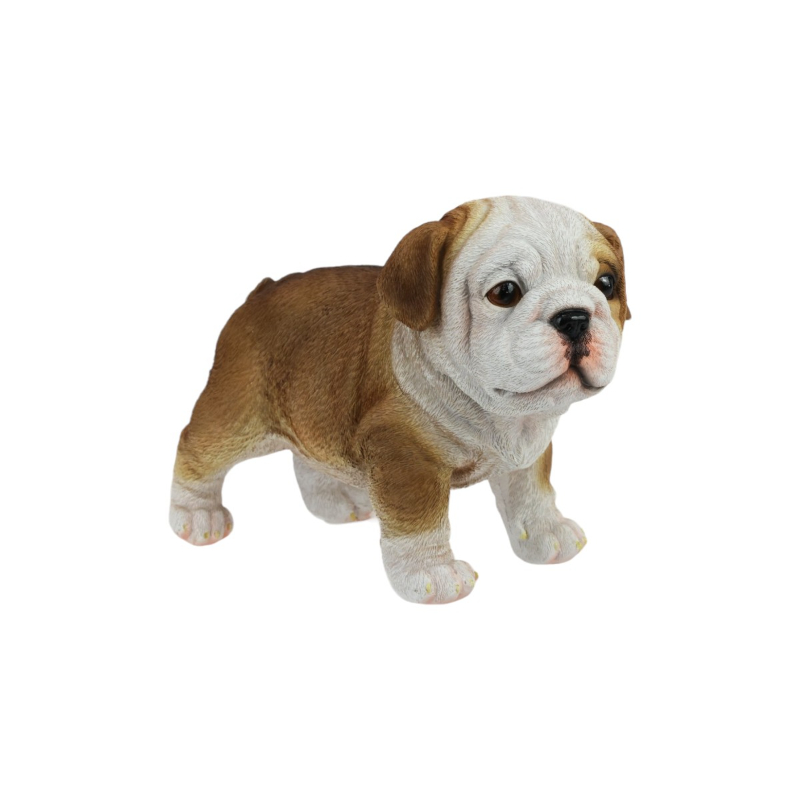 DOGKLEENB