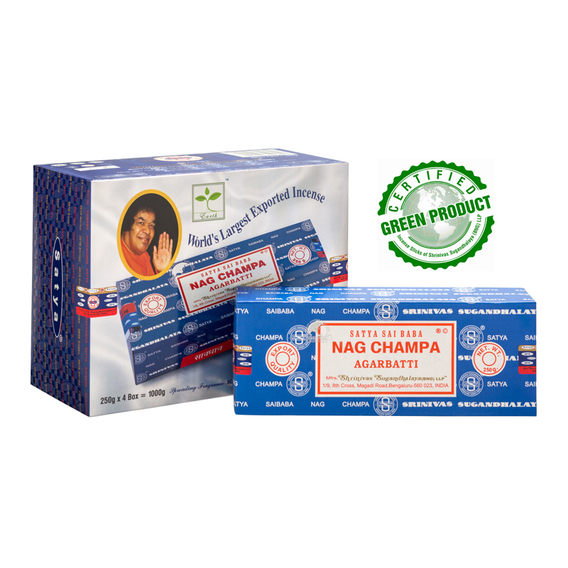 SNCI250GM