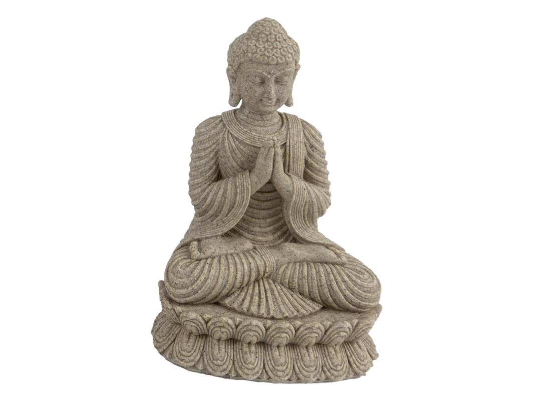 BUDHSSM