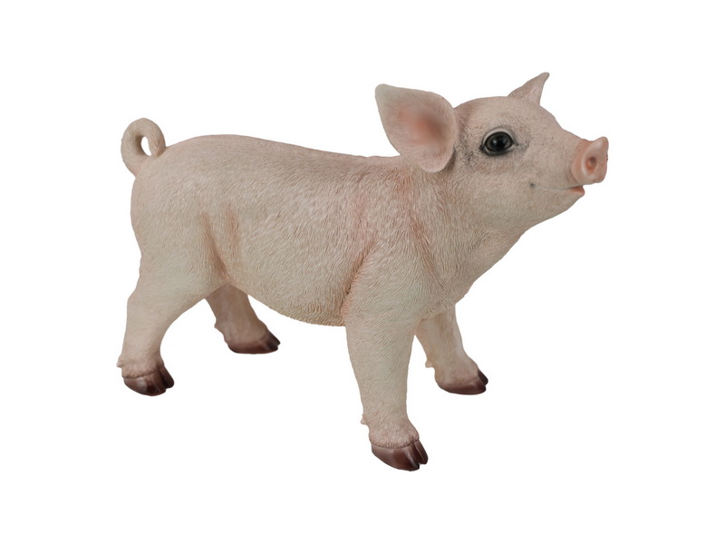 PIGPSTA