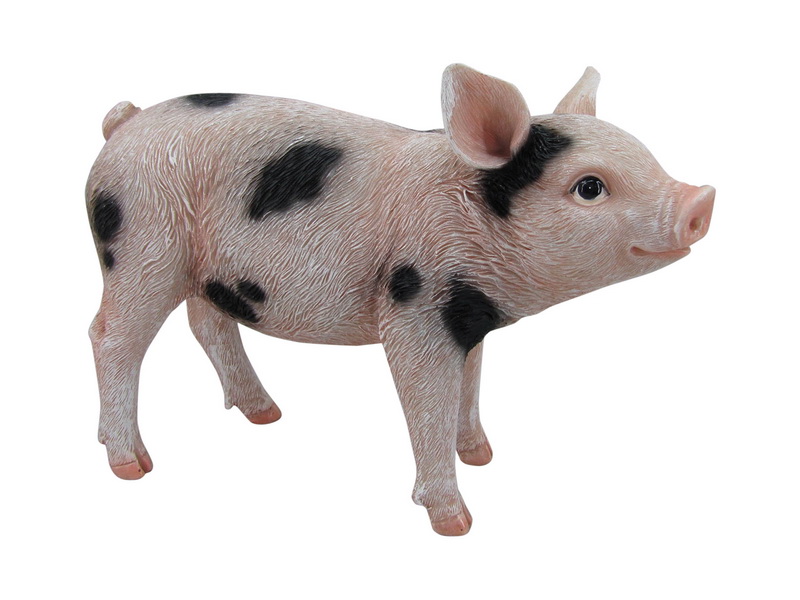 PIGSTSPO