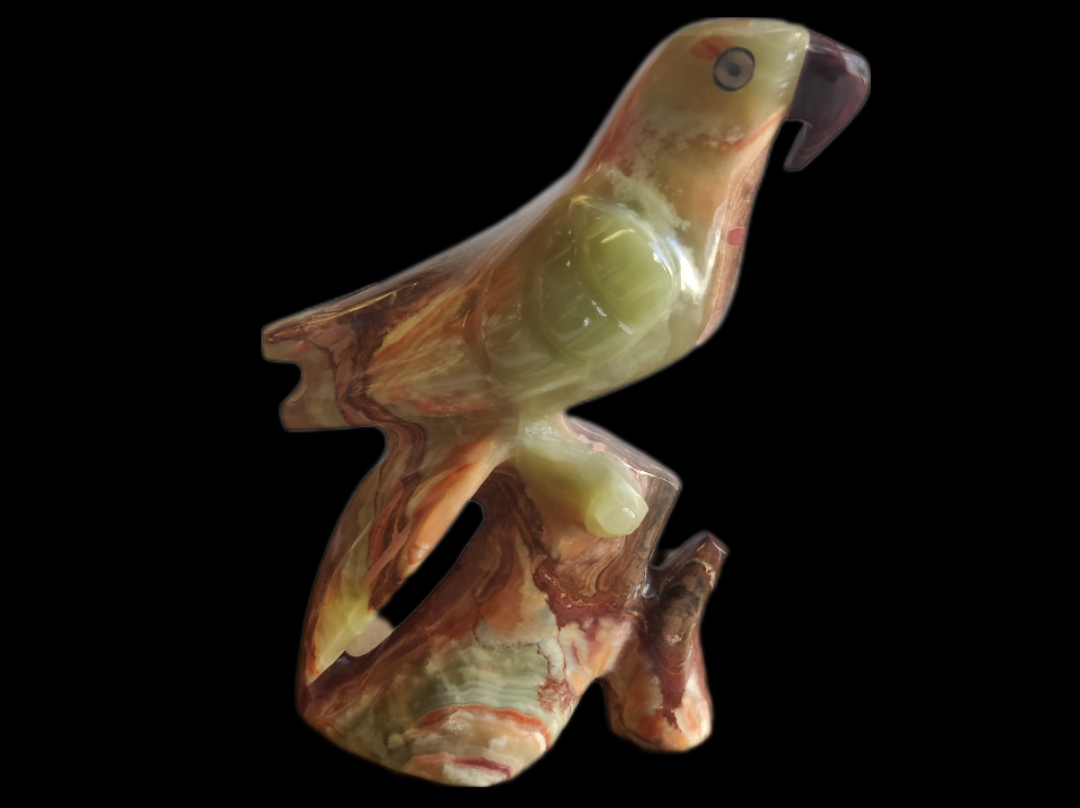 PARROT4