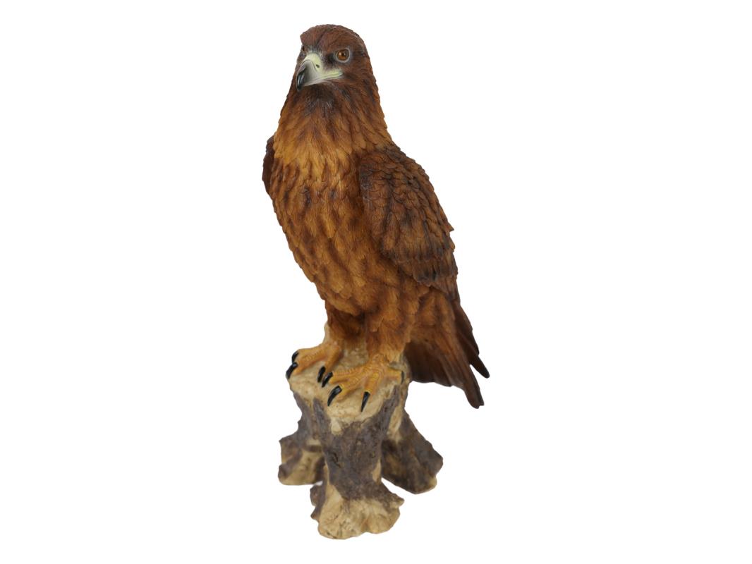 EAGBSTUJ