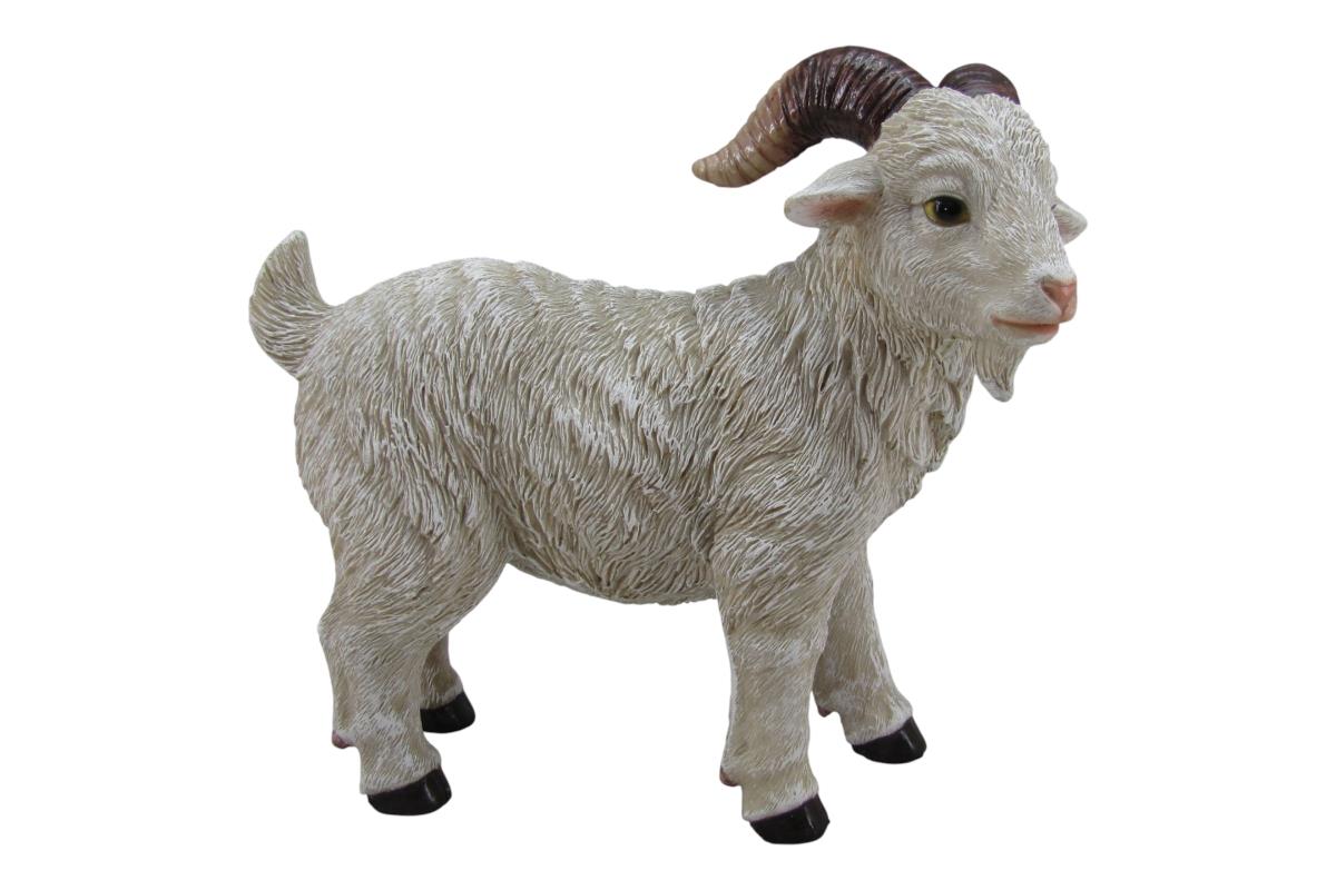 GOATBILLY