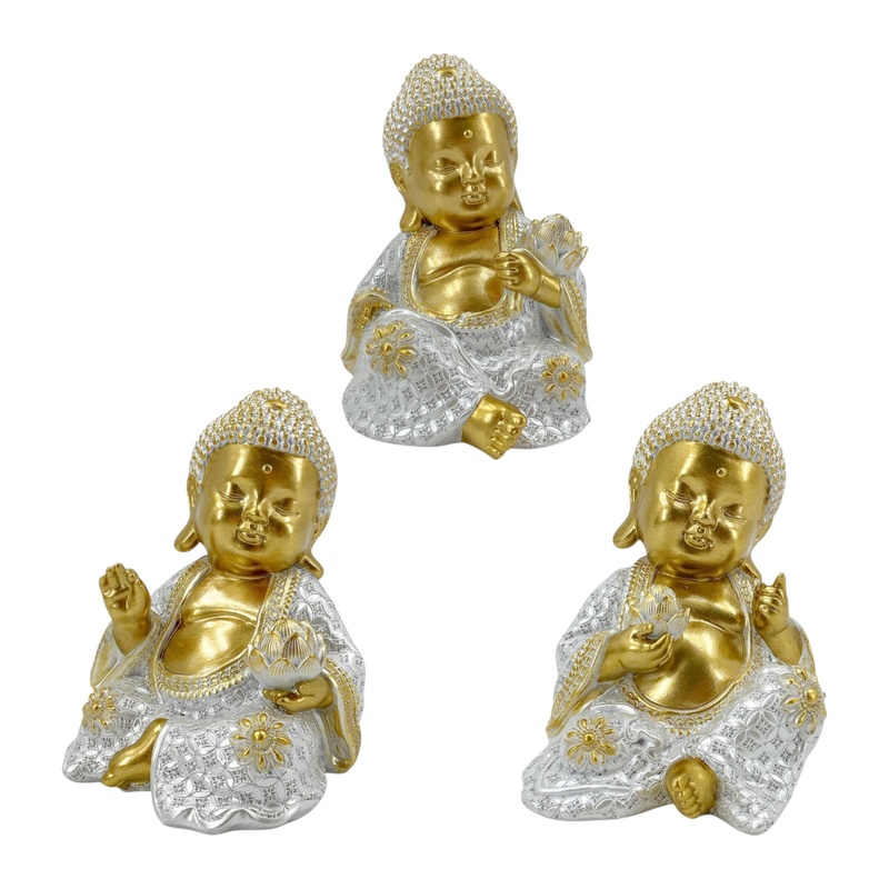 BUDDWPSM