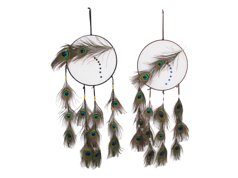 Peacock Feathers Dream Catcher
