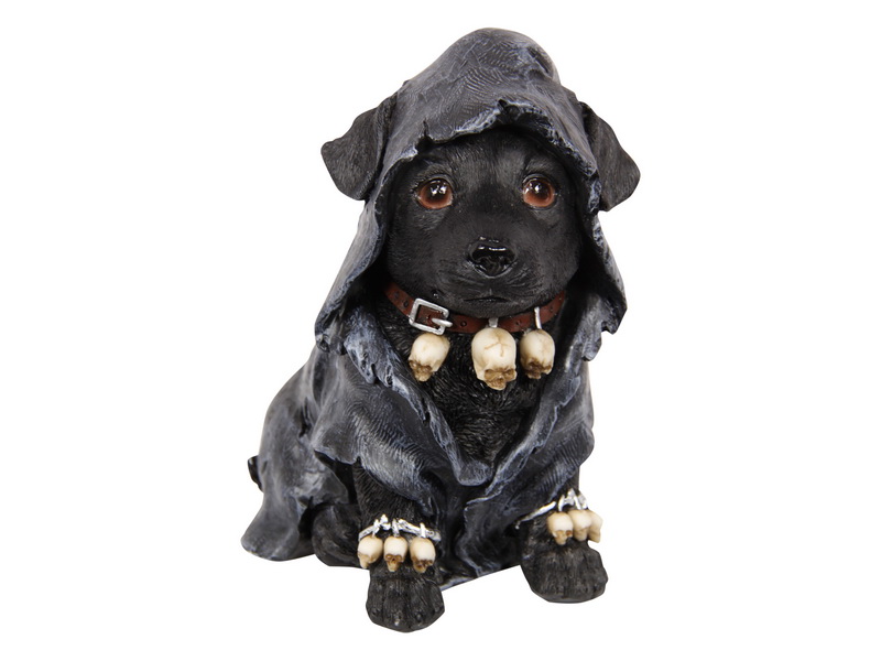 Witch Dog in Robe