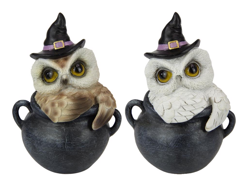 Witch Owl in Black Cauldron
