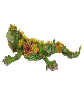 31cm Lizard with Floral Succulent Design