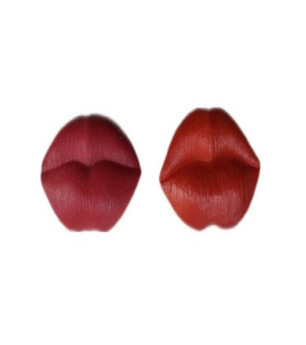 Hot Lips Magnets 2 Asst