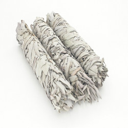 Smudge Stick - White Sage (XL)