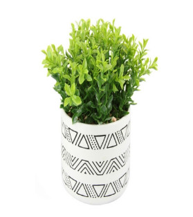 Tribal Pot Black And White With Succulent 23cm