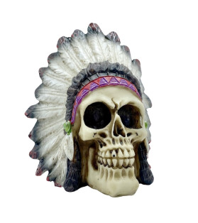 Skull With Native American Feather Hat