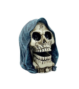 Skull With Cloak