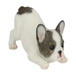 30cm Playful French Bulldog Puppy