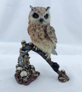 21cm Owl With Skull And Skeleton