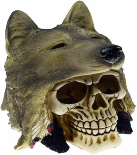 Native American Skull With Wolf Hat