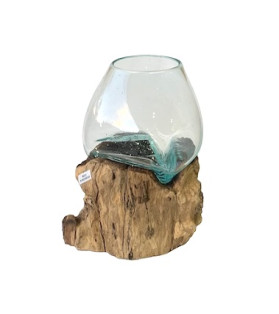 15cm Unique Glass Fish Bowl/Terrarium On Natural Driftwood