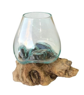 20cm Unique Glass Fish Bowl/Terrarium On Natural Driftwood