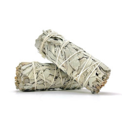 Smudge Stick  10CMX3.8CM White Sage (Small)