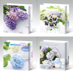 Gift Bags 26x32x10cm