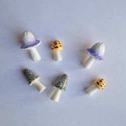 Miniature Pointed Mushroom