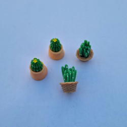 Miniature Cactus Pot