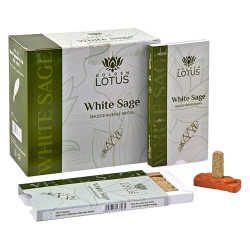 Golden Lotus White Sage Smudge Bricks