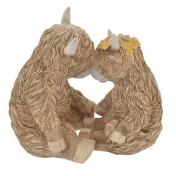 Highland Cow Couple