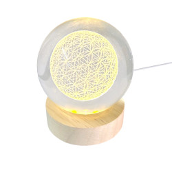 3D Creative Visualization Lamp - Lion