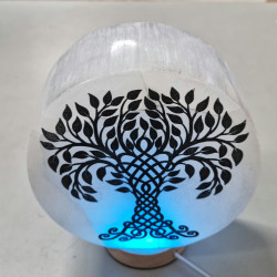 Selenite Tree Of Life Lamp Plate With A Hole 15 x 6.5Cm (WITH MULTI LED & Cord)