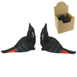 14cm Black Cockatoo Bird Paperweight 2 Asstd