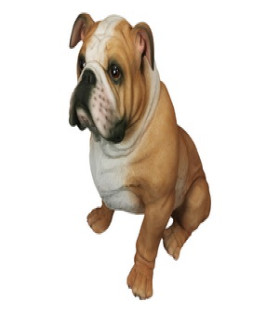 51cm Sitting Realistic Bulldog