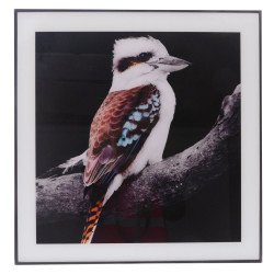 Glass Print Wall Art (Kookaburra)
