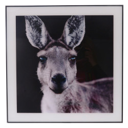 Glass Print Wall Art (Kangaroo)