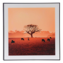 Glass Print Wall Art (Outback Grazing)