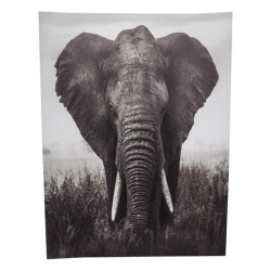 Black & White Elephant Canvas Print Wall Art
