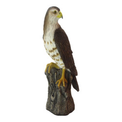 42x24cm Perched Hawk on Stump