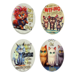 Crazy Cat Magnet 4 Asstd