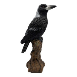 25x9cm Magpie Bird on Branch