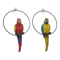 31cm Parrot in Hanging 25cm Ring 2 Asstd
