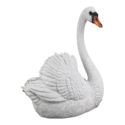 48x41cm Swan in Floating Pose