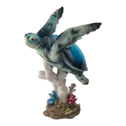 46x33cm Swimming Blue Turtle on Coral Base
