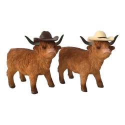 Hughie Highland Cows True Love