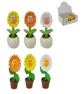 5cm Sunflower in Pot 6 Asstd Bulk Packing