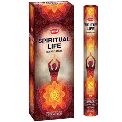 Hem Spiritual Life Incense Hex