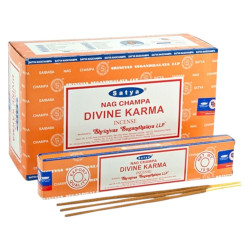 Satya Divine Karma Incense (15gm)