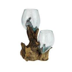 Double Glass Fish Bowl/Terrarium On Natural Driftwood